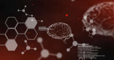Image of data processing over digital brains on red background. science and digital interface...
