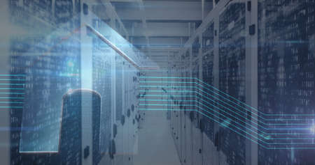 Digital image of binary coding data processing and light trails against empty server room. computer...
