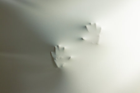 Composition of shape of hands and shades on white background. Halloween tradition and celebration...
