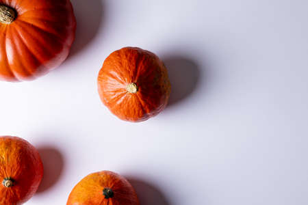 Composition of multiple orange pumpkins lying on white background. Halloween, autumn, tradition and celebration concept.の写真素材