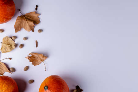 Composition of pumpkins with acorns and autumn leaves on white background. Halloween, autumn, tradition and celebration concept.の写真素材