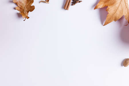 Composition of spices with acorns and autumn leaves on white background. Halloween, autumn, tradition and celebration concept.の写真素材