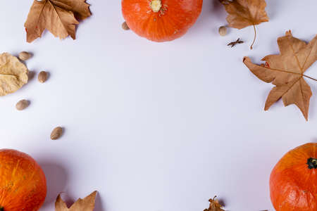 Composition of pumpkins with acorns and autumn leaves on white background. Halloween, autumn, tradition and celebration concept.の写真素材