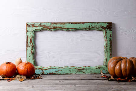 Composition of pumpkins with autumn leaves and frame with copy space on white background. Halloween, autumn, tradition and celebration concept.の写真素材