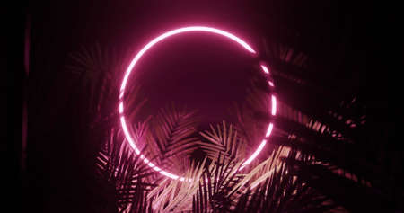 Image of leaves over pink neon circle on black background. Light, pattern and movement concept digitally generated image.の写真素材