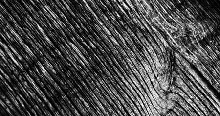 Image of moving shapes on black background. Abstract background and stop motion textures concept digitally generated image.の写真素材