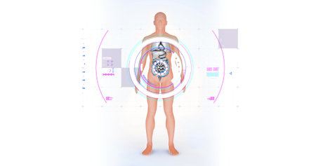 Image of digital interface over human body model. global science research and technology concept digitally generated image.の写真素材