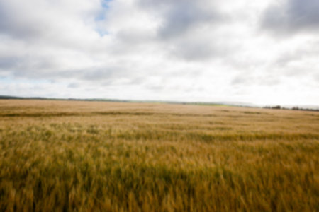Idyllic view of agriculture land against sky