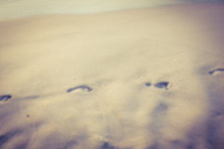 High angle view of human footprints on beachの写真素材