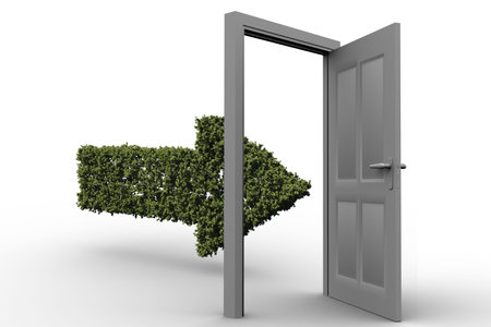 Arrow shape of topiary entering door over white backgroundの写真素材