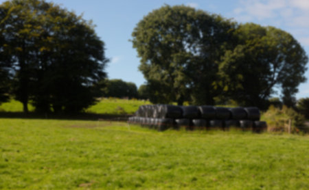 Wrapped hay bales on agricultural field against sky