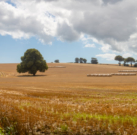 Scenic view of landscape against cloudy skyの写真素材