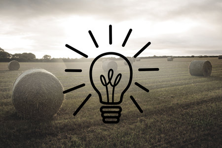 Light bulb on landscapeの写真素材