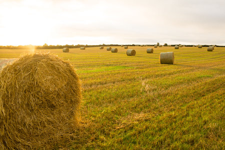 Hay bale on farm field against cloudy sky during sunset