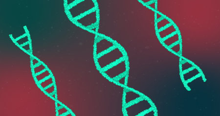 Image of multiple glowing green 3D double helix DNA strands spinning on red gradient background. Medicine genetics science concept digitally generated image.の写真素材