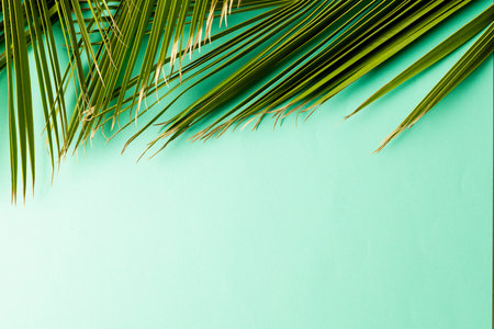 Animation of green lush leaves over green background with copy space. Background, copyspace, plants and colours concept.の写真素材