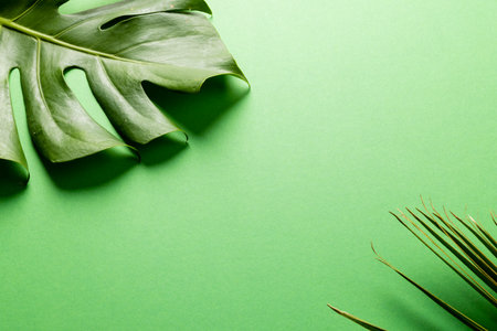 Animation of green lush leaves over green background with copy space. Background, copyspace, plants...