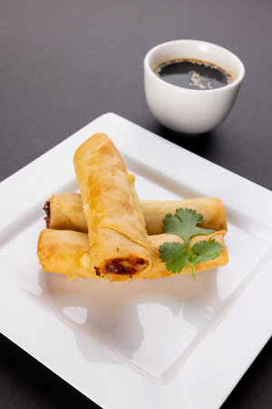Close up of asian spring rolls on white plate and soy sauce on grey background. Asian tasty home...