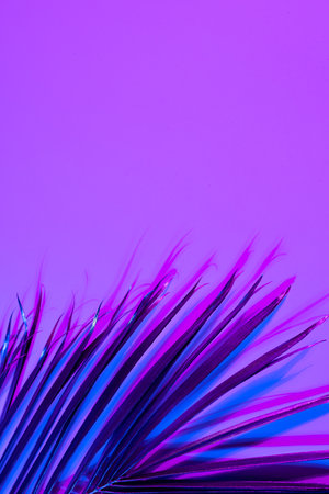 Image of vibrant neon lit blue to pink leaf over purple background with copy space. Light and colour conceptの写真素材
