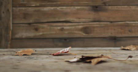 Image of autumn sale text over leaves on wooden background. Autumn tradition and celebration concept...