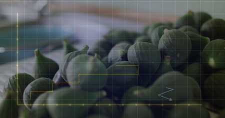 Image of financial data processing over vegetables. Global finances, ecology and digital interface...