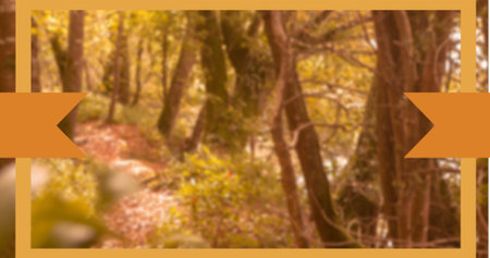Image of orange frame over trees in forest. Thanksgiving, tradition and celebration concept...