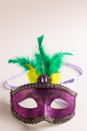 Composition of colourful mardi gras carnival mask with feathers on white background with copy space. Party, celebration and carnival concept.の写真素材