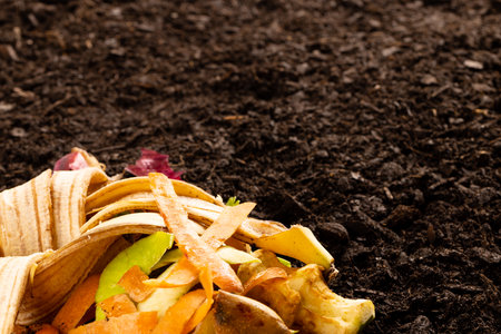 Organic fruit and vegetable waste for composting on dark soil, with copy space. Ecology, growth,...
