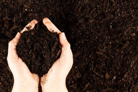 A pair of hands cupping dark rich peat soil and bark pieces. Ecology, growth, care and nature...