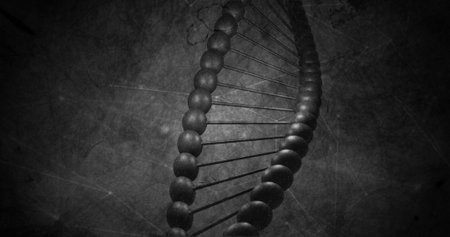 Image of close up of macro black dna strand. Global science, research, genetics and data processing concept digitally generated image.の写真素材