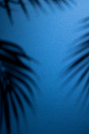 Close up of leaves shadows on blue background with copy space. Colour, nature, shapes and texture.