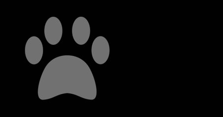 Image of paw icon with copy space on black background. Social media and digital interface concept digitally generated image.の写真素材