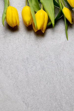 Image of yellow tulips with copy space on slate grey background. Mothers day, nature and spring concept.の写真素材