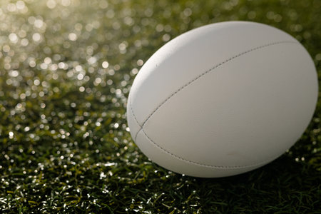 White rugby ball over grass with copy space, in slow motion. Rugby, sport, international, competition and games digitally generated image.の写真素材