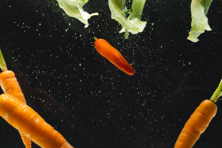 Close up of fresh vegetables falling into water with copy space on black background. Vegetables, vegan food and colour concept.の写真素材