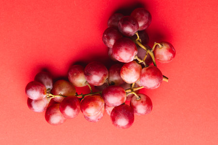 Close up of red grapes and copy space on red background. Fruit, food, freshness and colour concept.の写真素材