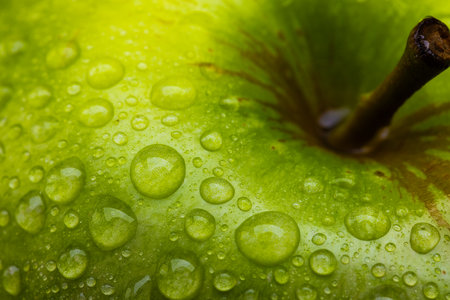 Micro close up of green apple with water drops and copy space. Micro photography, fruit, food, texture and colour concept.の写真素材