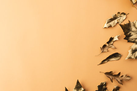 Metallic gold autumn leaves with copy space on orange background. Fall, autumn, halloween, tradition and celebration concept.の写真素材