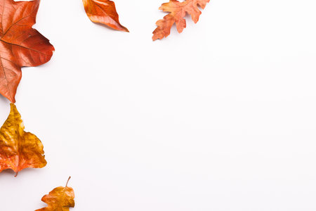 Autumn leaves with copy space on white background. Fall, autumn, halloween, tradition and...
