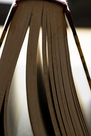 Micro of book pages and copy space on grey background. Micro photography, reading, literature,...