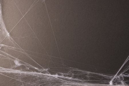 Halloween spiderweb decorations with copy space on grey background. Fall, autumn, halloween, tradition and celebration concept.の写真素材