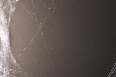 Halloween spiderweb decorations with copy space on grey background. Fall, autumn, halloween, tradition and celebration concept.の写真素材