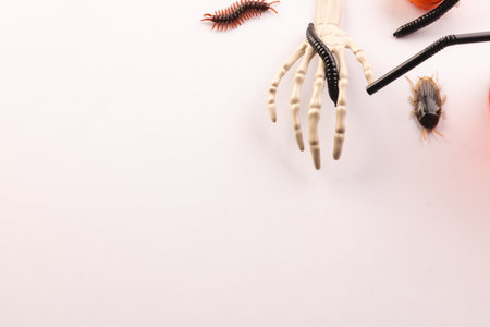 Halloween decorations with copy space on white background. Fall, autumn, halloween, tradition and...
