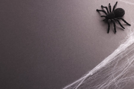 Halloween spider and spiderweb decorations with copy space on yellow background. Fall, autumn, halloween, tradition and celebration concept.の写真素材