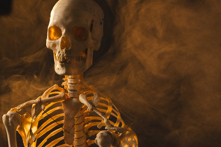 Plastic skeleton and smoke with copy space on black background. Fall, autumn, halloween, tradition and celebration concept.の写真素材