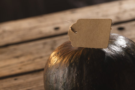 Pumpkin with tag with copy space on brown background. Fall, autumn, halloween, tradition and celebration concept.の写真素材