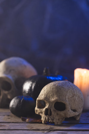 Vertical image of pumpkins, skulls and candle with copy space on black background. Fall, autumn, halloween, tradition and celebration concept.の写真素材