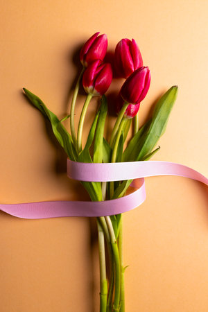 Vertical image of bunch of red tulips with pink ribbon and copy space on orange background. Flower, plant, shape, nature and colour concept.の写真素材