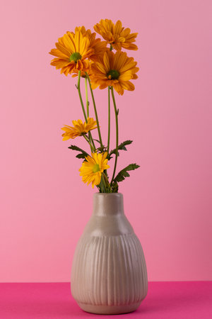 Vertical image of yellow flowers in vase and copy space on pink background. Flower, plant, shape, nature and colour concept.の写真素材