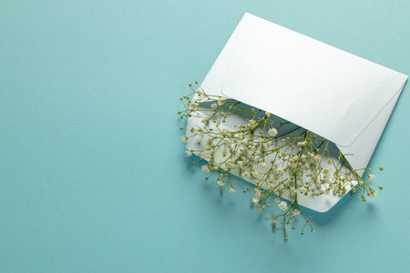 White flowers in white envelope and copy space on blue background. Flower, plant, shape, nature and...